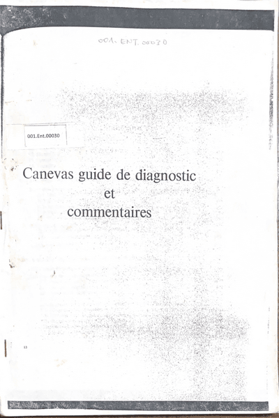 Couverture — Canevas guide de diagnostic et commentaires